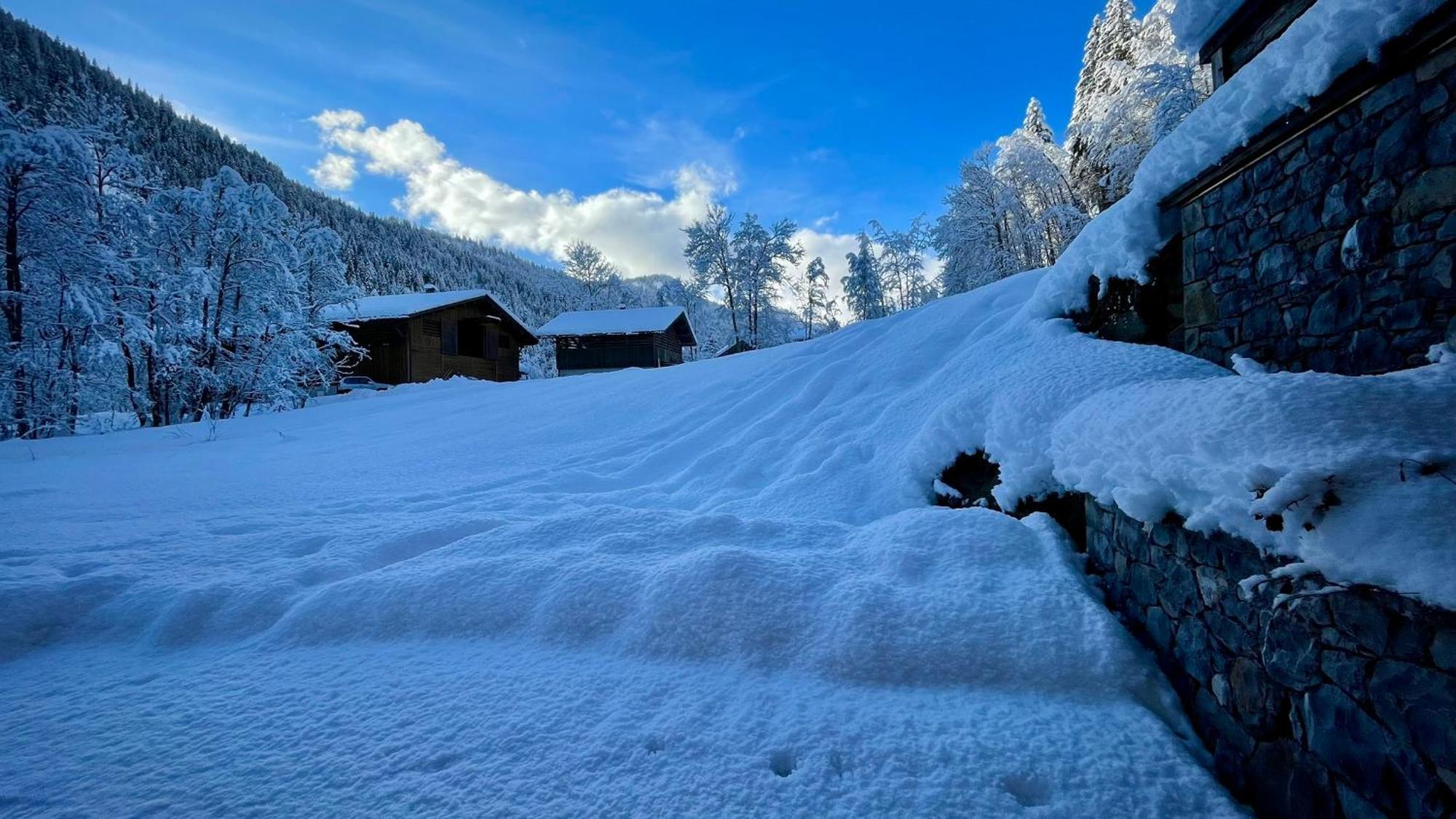Chalet Birdie เลอกรองด์บอร์นอง ภายนอก รูปภาพ